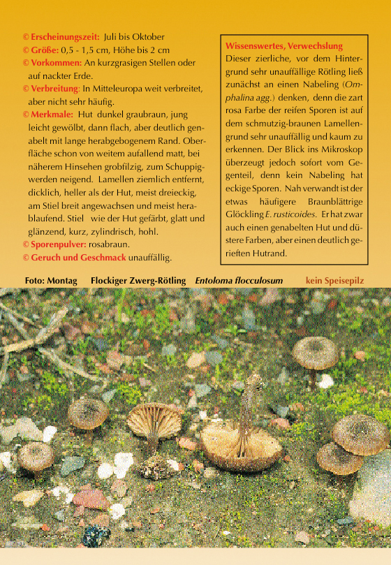 Liste der Pilzarten, die im Kalender 2002 (Pilze auf Magerwiesen